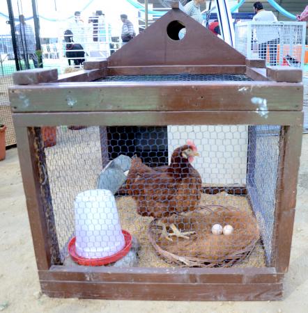 Poultry Brooding Pan